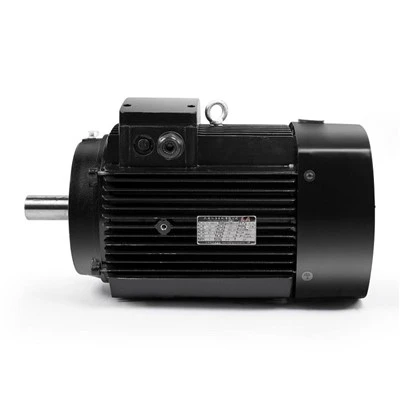 Moteur en fonte série IE3